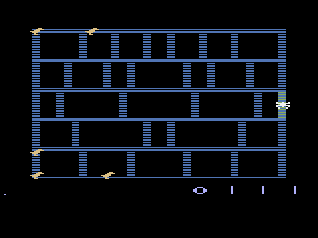 Im Reich der Spinne (AKA Amidar) — game screenshot
